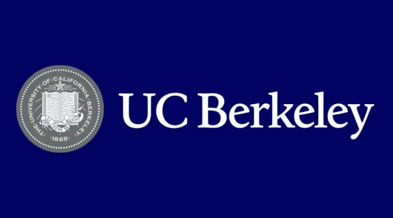 Undergraduate Study Abroad Counselling UK