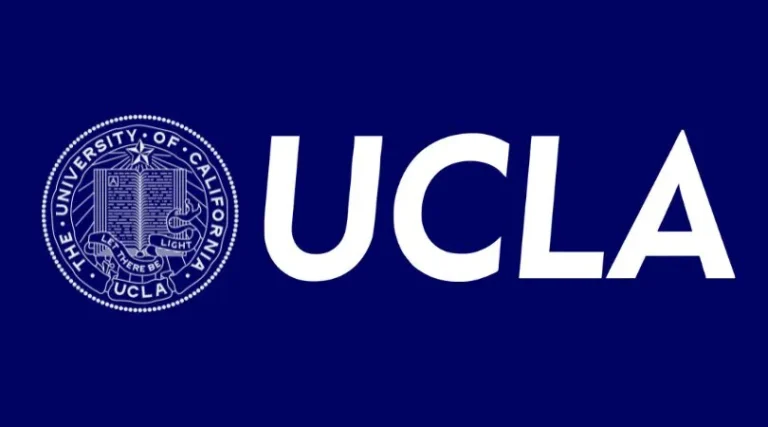 Undergraduate Study Abroad Counselling UK