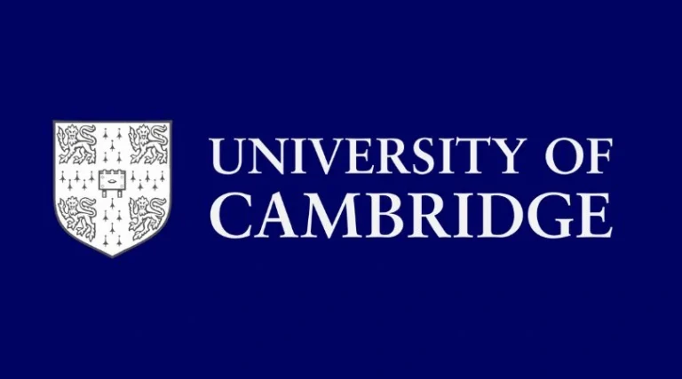 Undergraduate Study Abroad Counselling UK
