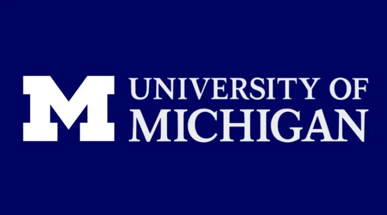 Undergraduate Study Abroad Counselling UK