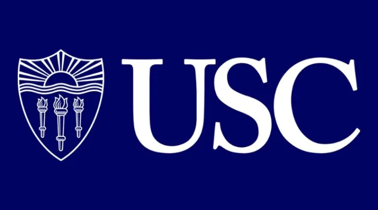 Undergraduate Study Abroad Counselling UK